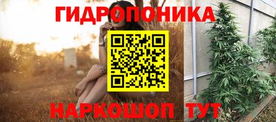 дживик Донецк