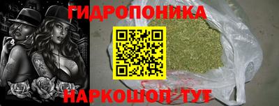 гидра Гусь-Хрустальный