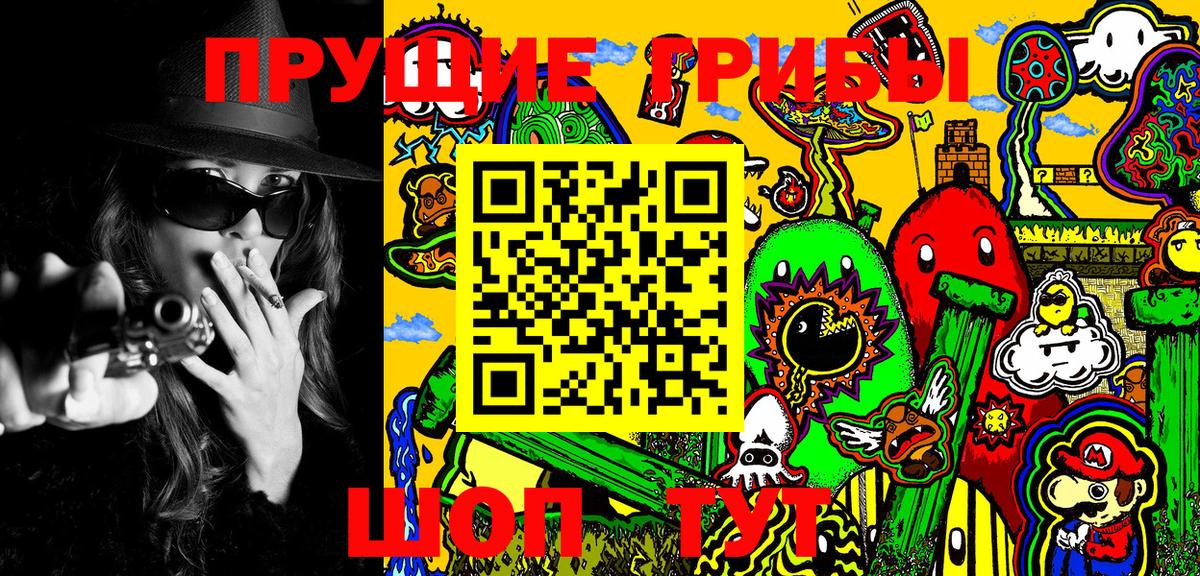 Мыски  Псилоцибиновые грибы MAGIC MUSHROOMS  Вход с VPN 